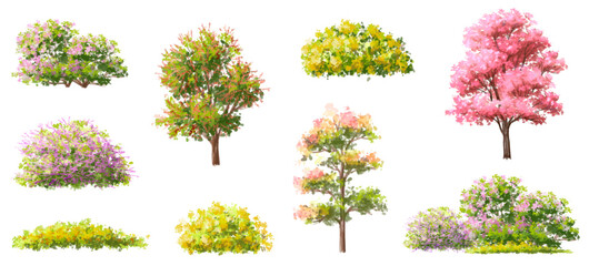 Vector watercolor blooming flower tree side view isolated on white background for landscape and architecture drawing, elements for environment and garden,botanical elements for section in spring 