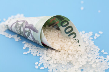 Food price Euro paper currency and rice