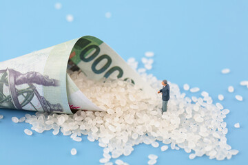 The economic problem of shrinking the world rice price