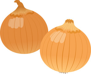 玉ねぎ_野菜_ベクターイラスト
