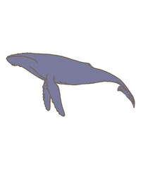 Naklejka premium dolphin isolated on white background