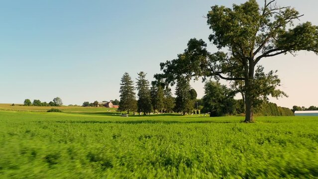 large field outside of the Gorham Cemetery. An old grave yard that with graves that date back to the the early America 1800s located in the country of New York State, USA