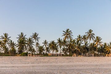 white sand beach in Salalah, Sultanate of Oman