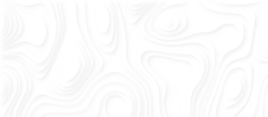 White abstract papercut origami design. 