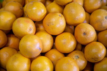 Background of Oranges for sale