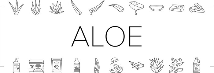 aloe vera nature green care icons set vector