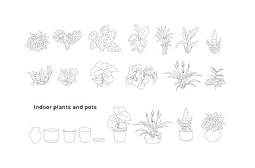 Flat vector Illustration of a foliage plant. indoor plants in pot line drawing, Minimal style, Side view