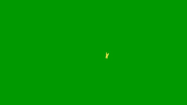 Animated golden butterfly flies. Looped video. Summer and spring concept. Vector illustration isolated on green background.
