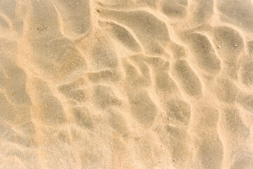 sand texture 