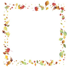 Leaves Falling Autumn Foliage Chaotic Leaf Flying