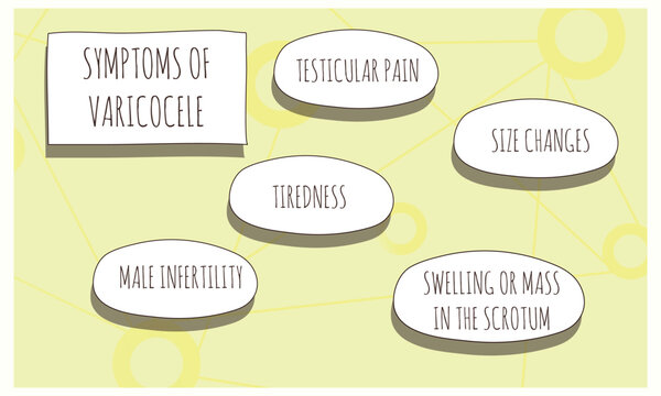 symptoms of Varicocele.  Vector illustration for medical journal or brochure. 