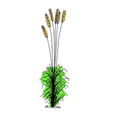 Abstract hand drawn outline plant with color. Vector illustration. 