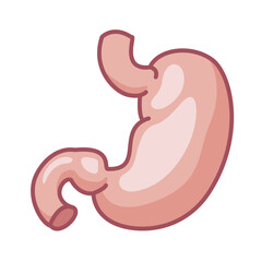 Human stomach icon. Vector symbol