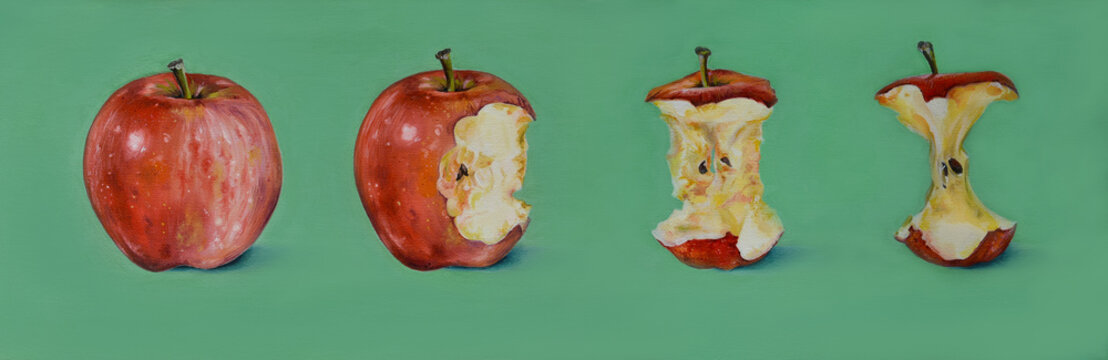 Red Apple oil painting, hand drawn set is showing eating fruit process in stages as a whole apple, with a bite off, half eaten, and only a stub, or core left. Tasty fruit, fresh healthy food concept.