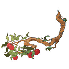 Apple tree branch with red apples and green leaves. Decorative hand drawn design element. EPS10 vector illustration