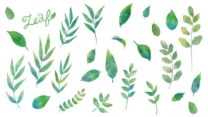  葉っぱの水彩画ベクターイラストパーツセット