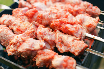 Raw kebab in tomato marinade on skewers in nature. Cooking on a hike