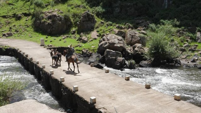 Indigenous Lesotho man in pointy hat trots across bridge with mules