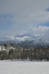Fototapeta na wymiar Winter mountain landscape trees snow norway scandinavia