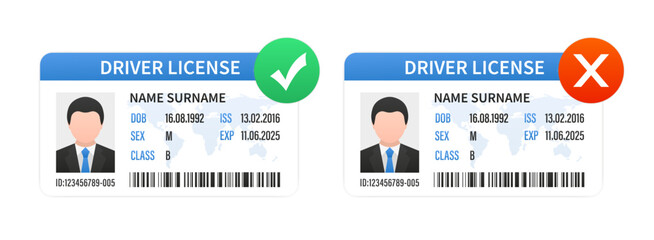 ID cards. Personal info data. Identification document with person photo. User or profile card. Driver's license. Flat style. Plastic card template with a tick and a cross. Vector illustration