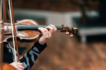 A musician playing the violin in a string section of a classical symphony orchestra rehearsal