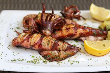 Grilled Calamari (Squid) with lemon and parsley on white plate.