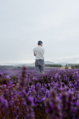 Man standing in purple lavender fields, editorial shoot, Tasmania Australia