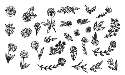 Spring flowers, branches and leaves hand drawn vector set. Black brush plant silhouettes.