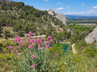 Landscape with a breathtaking view high up in the Alpilles in Provence in France with red valerian...