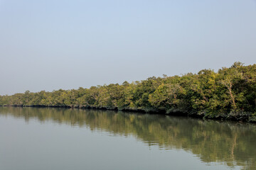 Sundarbans National Park.sundarbans is the largest mangrove forest in the world.this photo was taken from bangladesh.
