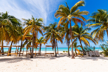 Plakat Tropical paradise beach with white sand and coco palms travel tourism wide panorama background. Luxury vacation and holiday, tropical beach resort concept. Beautiful beach design