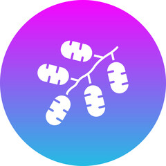Dates Icon
