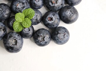 Fresh blueberries with mint leaves. The fruits are actual berries with many tiny seeds and are deep indigo to black color when ripe. Copy space.