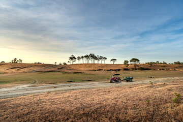 Obraz premium Masara Hamlet, Ta Nang Commune, Duc Trong District, Lam Dong Province, Vietnam - Tourists camp on a meadow in Masara village. This is one of the best camping and sunrise spots in VN