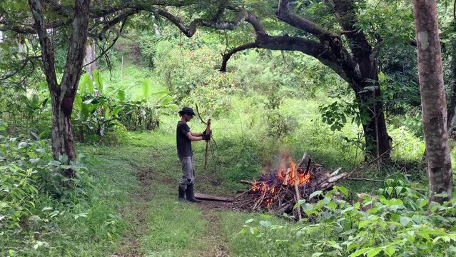 Arborist adding cut wood to a fire pit in Caimito district, Panama Province, Panama