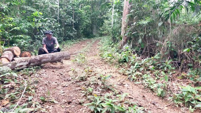 Static shot of an arborist cutting fallen trees in the Caimito district, Panama Province