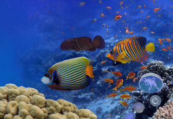 Fototapeta na wymiar Underwater coral reef landscape