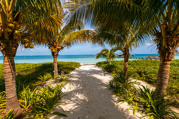 Tropical paradise beach with white sand and coco palms travel tourism wide panorama background. Luxury vacation and holiday, tropical beach resort concept. Beautiful beach design in cancun, mexico