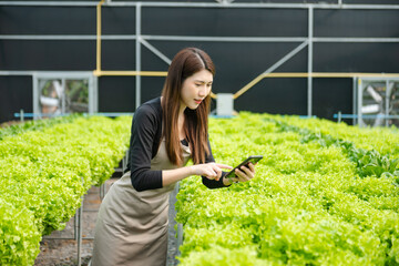  Asian couple of farmers inspects plants with a digital tablet In a greenhouse plantation.