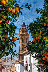 Fototapeta premium San Sebastian church tower in Antequera, Malaga Province, Andalusia, Spain