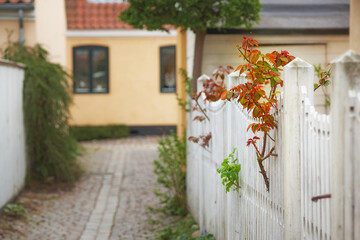 Residential property in Dragoer. Old houses located in Dragor, Denmark.