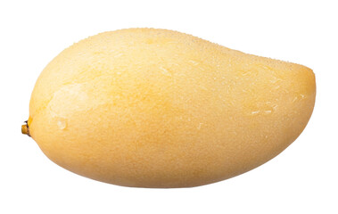 ripe mango with water drop isolated on transparent background, PNG image