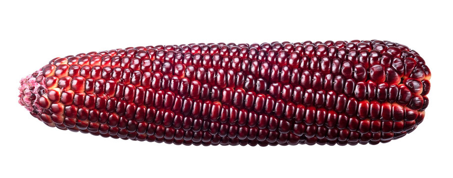 red corn isolated on transparent background, PNG image