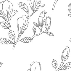 Magnolia seamless border pattern with branches and flowers. Ornament for wedding invitations or greeting cards
