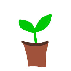 plant in a pot World Environment Day