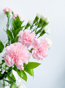 Close up photo of a bouquet of pink carnations