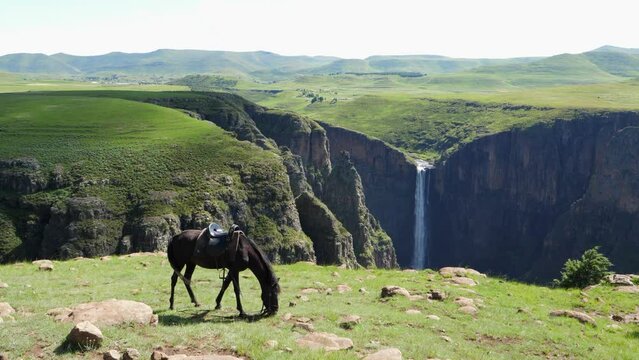 Rider's dark chestnut horse eats grass before deep gorge waterfall