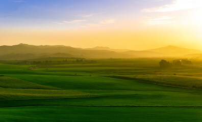 green field in countryside at sunset in the evening light. beautiful spring landscape in the mountains. grassy field and hills. rural scenery