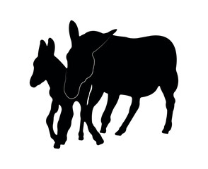 Vector flat donkey silhouette isolated on white background