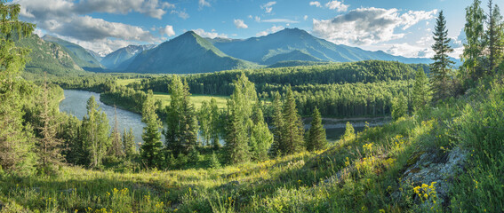 Picturesque mountain valley on a sunny summer day, wild river, panoramic view	